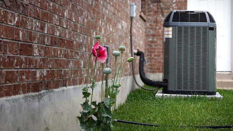 Flowers and an air conditioning unit outside a brick house.