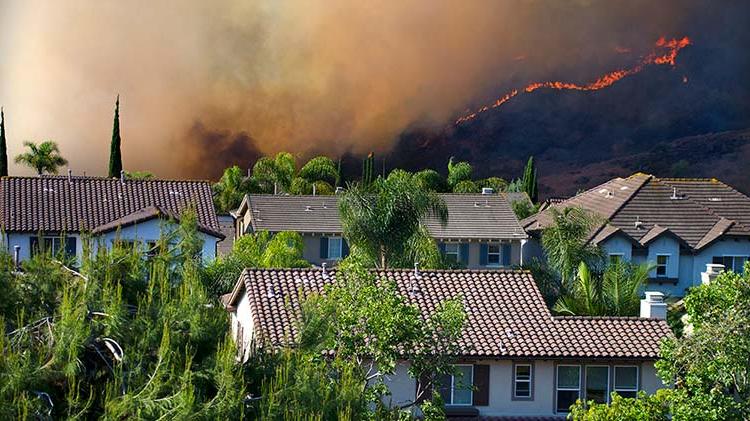 Infographic about how to prepare for a wildfire. 